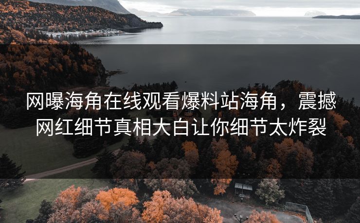 网曝海角在线观看爆料站海角,震撼网红细节真相大白让你细节太炸裂