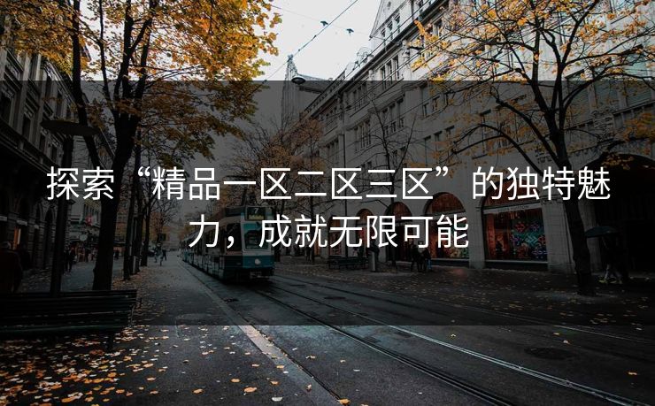 探索“精品一区二区三区”的独特魅力，成就无限可能
