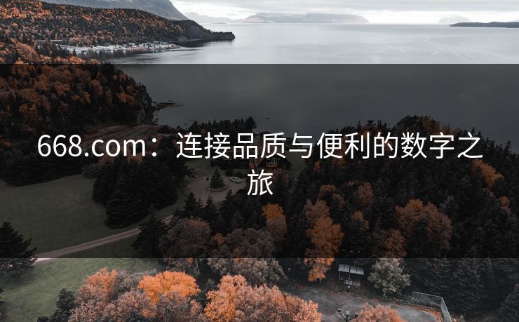 668.com:连接品质与便利的数字之旅 668.com:连接品质与便利的数字之旅