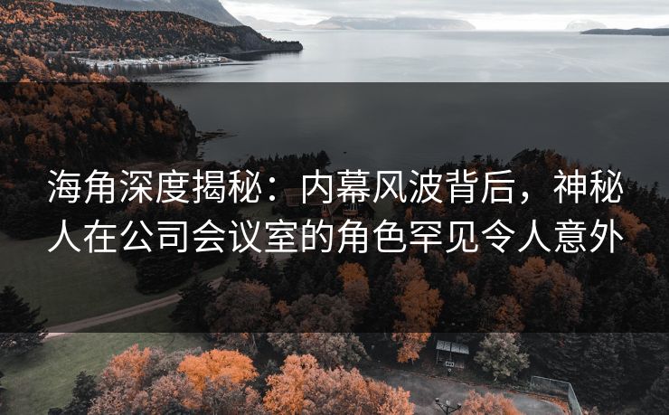 海角深度揭秘：内幕风波背后，神秘人在公司会议室的角色罕见令人意外