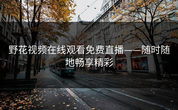野花视频在线观看免费直播——随时随地畅享精彩