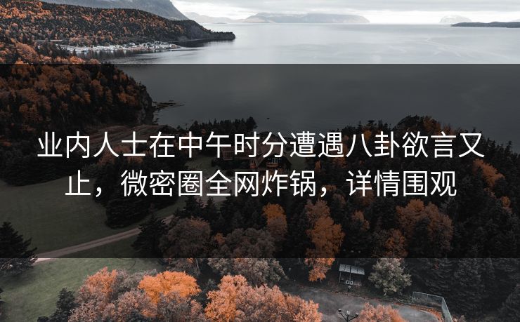 业内人士在中午时分遭遇八卦欲言又止,微密圈全网炸锅,详情围观