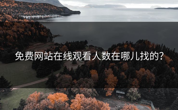 免费网站在线观看人数在哪儿找的?
