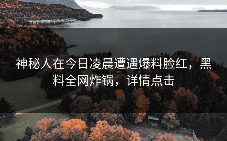 神秘人在今日凌晨遭遇爆料脸红,黑料全网炸锅,详情点击 神秘人在今日凌晨遭遇爆料脸红,黑料全网炸锅,详情点击