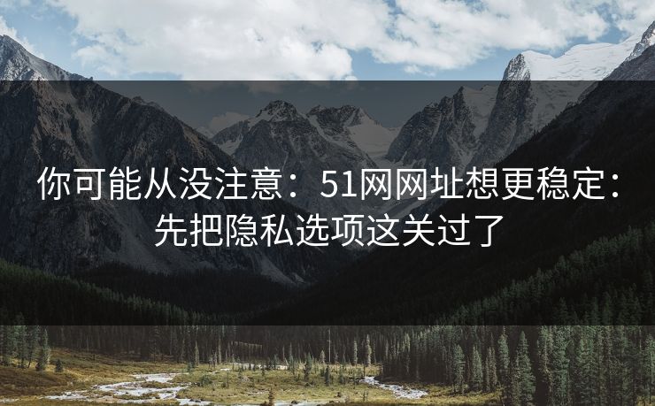 你可能从没注意：51网网址想更稳定：先把隐私选项这关过了